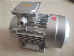 DO系列单-三相微型异步电动机