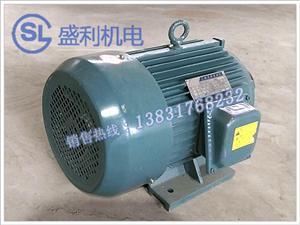 Y系列三相异步电机
