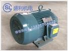 Y系列三相异步电机