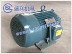 Y系列三相异步电机